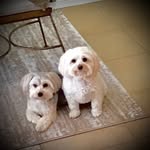 Annie and Boo Howes - @annieboo2020 - Instagram
