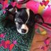 Ann Jones Hoyle - Facebook