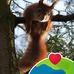 Anne Hubert - Facebook