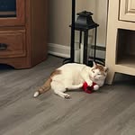 Annie Huff - @ach1952 - Instagram
