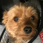 Annie Hung - @pepper6009 - Instagram