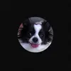 Annie Irvine765 - @annieirvine1 - TikTok