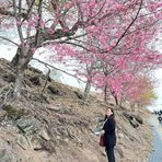 Annie Joo - Facebook