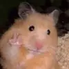 We are better than you 😍 - @annie.kendall.kristina - TikTok