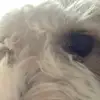 user1519476251632 - @anniekeys8 - TikTok