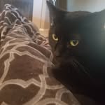 Anne K - @annie___kramer - Instagram