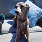 Annie Labonté - @annie_lab_ - Instagram