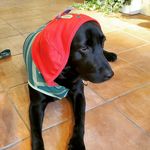 annie-laurie - @annielab.1797 - Instagram