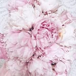 Annie Labelle - @annielabelle2019 - Instagram