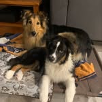 Annie Labelle - @bella_la_fofolle - Instagram