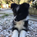 Annie - @annie_laborder - Instagram