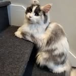 Annie Labrecque - @nini505075 - Instagram