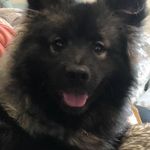 Annie Labrecque - @labrecque1370 - Instagram