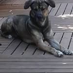 Anne Laforge - @anne.laforge - Instagram