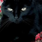 Annie Laforge - Facebook