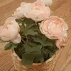 annie:) - @annie.laing - TikTok