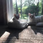 AL - @annie_lamarche - Instagram