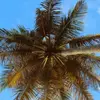 Anne Lamarche - @anne.lamarche - TikTok