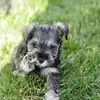 Anne Lamarche - @annelamarche - TikTok