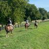 Camden, Annie, and Langley - @chestnutponyclub - TikTok