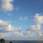Anne Lanier - @annepeti - Instagram
