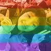 Annie Lao - @30920587881 - TikTok