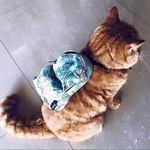 Annie Lao - @annielao___ - Instagram