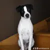 annielaporte2 - @annielaporte2 - TikTok
