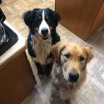 @annie_and_larry - Instagram