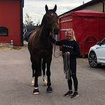 Annie Larsson - @annielarssson - Instagram