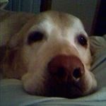 Annie Larson - @annielarson9878 - Instagram
