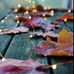 Annie Larson - Facebook