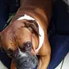 aldo - @annielatour3 - TikTok