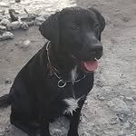 Anne Latour - @anne.latour.792 - Instagram