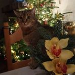 Annie Latour - Facebook