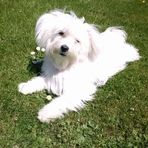 Annie Latour - Facebook