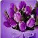 Anne Lavender - Facebook
