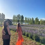 @annielawsoncarden - Instagram