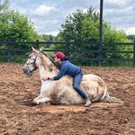 Annie Leclair - @dasdandy33 - Instagram