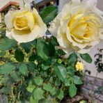 Annie Leclerc - Facebook