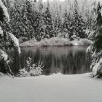Annie Lecompte - Facebook