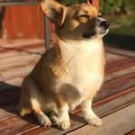 Annie Legault Ion Ion - @annielegaultion - Instagram