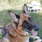 Annie Leger - Facebook