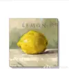 AnnieLemon - @annielemon88 - TikTok