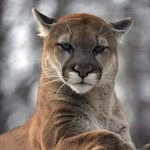 Annie Lessard - @annie.lessard.180 - Instagram