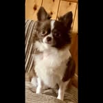 Anne Linton - @annel658 - Instagram