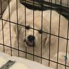 Annie McCarty205 - @annie.mccarty - TikTok