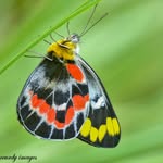Anne Mccurdy - @annemccurdyphotography - Instagram