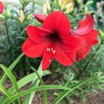 Annie McCurdy - Facebook
