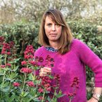 Annie Meier - @anniemeierlandscapes - Instagram